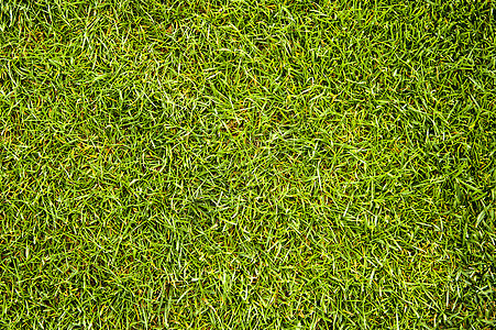 青质土地草皮高尔夫球活力艺术正方形植物院子地球环境图片