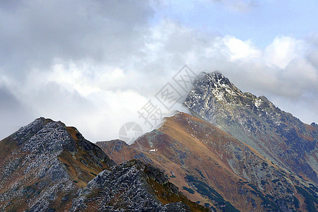 波兰塔特拉斯高山地貌景观游客爬坡松树晴天顶峰森林假期全景旅游国家图片