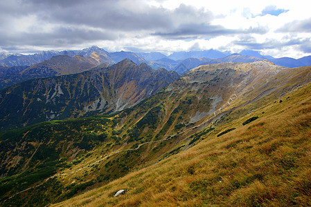 红山峰 波兰塔特拉斯山脉森林旅行晴天风景假期小路全景顶峰旅游爬坡图片