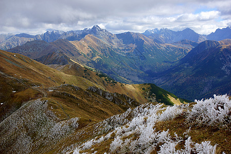 红山峰 波兰塔特拉斯山脉旅行爬坡国家风景森林顶峰岩石松树晴天游客图片