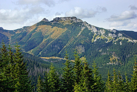 Giewont 波兰Tatras山地貌爬坡假期踪迹农村游客松树森林国家晴天旅行图片