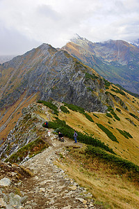 波兰Tatras山景观晴天森林假期松树旅行岩石踪迹旅游全景顶峰图片