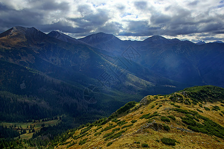 波兰Tatras山景观农村松树踪迹蓝色岩石全景森林小路旅游旅行图片