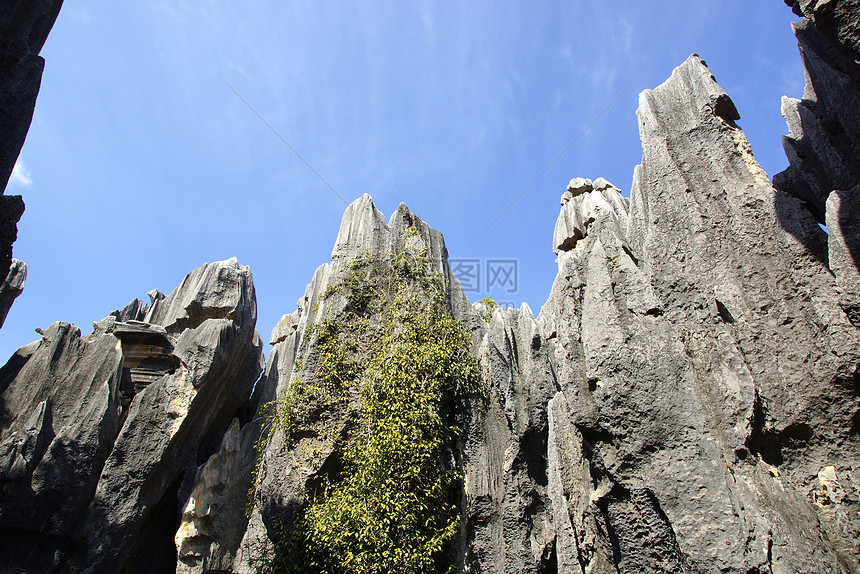 中国云南昆明史林石岩森林风景岩石地质学地区运动石头旅行地球晴天编队图片