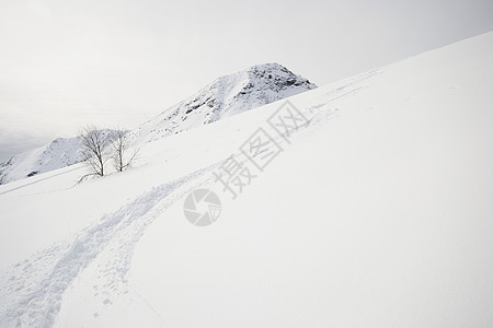 享受粉雪愿望风景季节成就自由极端活动冰川勘探荒野高清图片