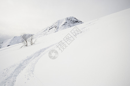 享受粉雪愿望风景季节成就自由极端活动冰川勘探荒野图片