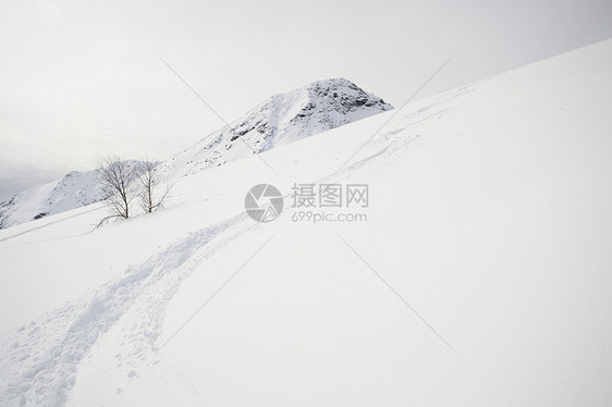 享受粉雪愿望风景季节成就自由极端活动冰川勘探荒野图片