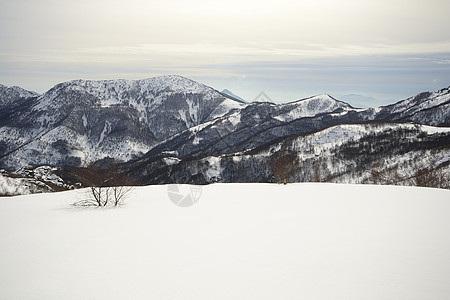 阿尔卑山云勘探山峰粉雪风景天空季节低角度视图岩石山脉图片