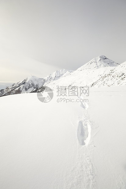 雪坡上的野生生物痕迹动物粉雪风景冰川山脉荒野背光自由季节山峰图片