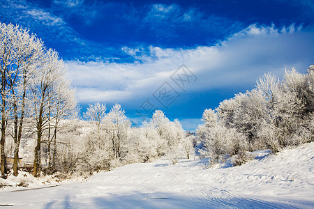 温的风景冻结国家天气蓝色旅行曲目公园木头场景场地图片