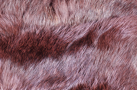 棕色毛毛织物画幅纺织品被子床单毯子水平毛皮羊毛图片