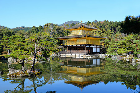 日本京都金宫寺庙金殿松树历史旅行金子池塘建筑学公园地标文化反射图片