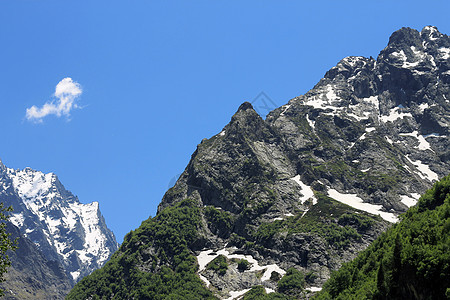 下方的青森林和绿林木头旅游绿色蓝色高山顶峰树叶季节岩石爬坡图片