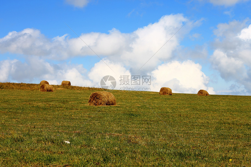 农田田地上的草原滚篮金子地平线草地风景天空农场生长国家农村土地图片
