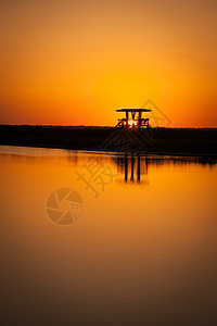 黑点野生动物驱动车摄影旅游沼泽阳光日落场景风景大道橙子目的地图片