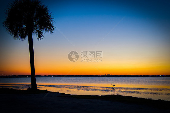 黑点野生动物驱动车反射沼泽天空场景橙子旅游日落水平目的地阳光图片