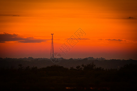 黑点野生动物驱动车场景风景阳光橙子日落摄影水平大道天空目的地图片