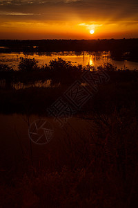 黑点野生动物驱动车目的地太阳场景天空橙子植物沼泽阳光旅游摄影图片