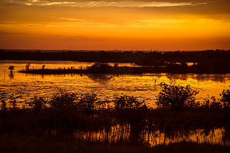黑点野生动物驱动车反射目的地橙子阳光日落天空大道水平风景沼泽图片