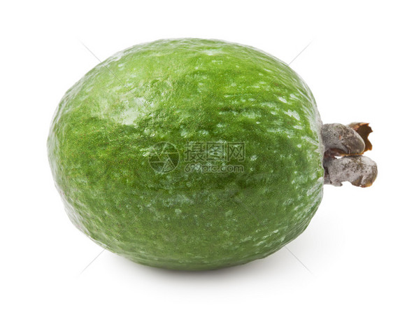 Feijoa 水果异国食物芳香味道情调美食绿色热带白色图片