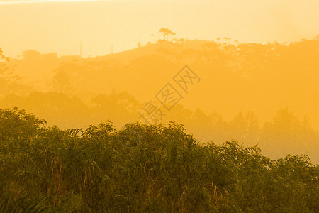 太阳在暴风雨中的云中破晓下雨雨林丛林叶子日落阳光雷雨热带橙子风暴图片