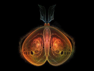 象形蝴蝶奉承数学想像力生物学昆虫插图创造力森林科学眼睛图片