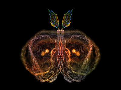 闪耀的蝴蝶装饰品动物科学野生动物几何学眼睛设计宏观航班昆虫学图片