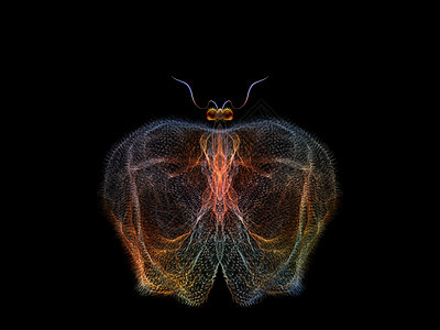 蝴蝶优雅设计想像力动物插图奉承花园渲染几何学森林眼睛图片