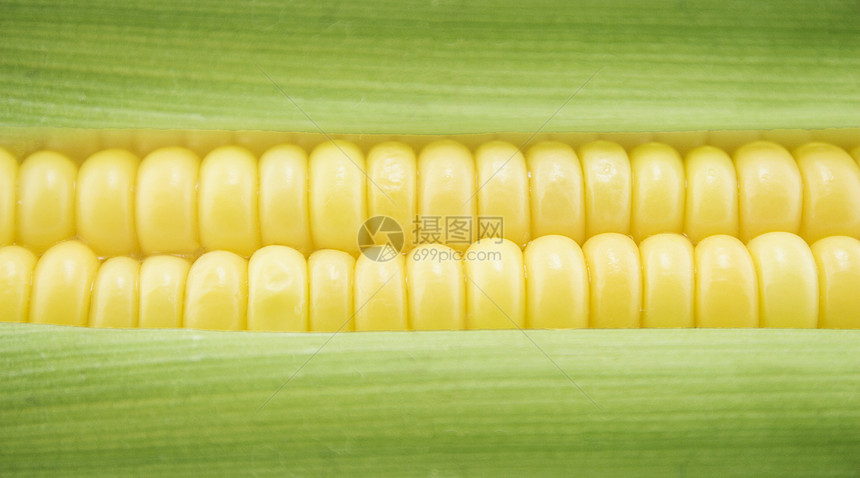 玉米角营养产品收成农业生长耳朵膳食花园叶子棒子图片
