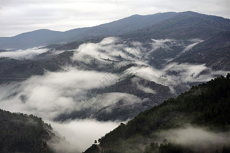 Cevennes山脉环境全景森林国家假期旅行飞檐风景天空树木图片