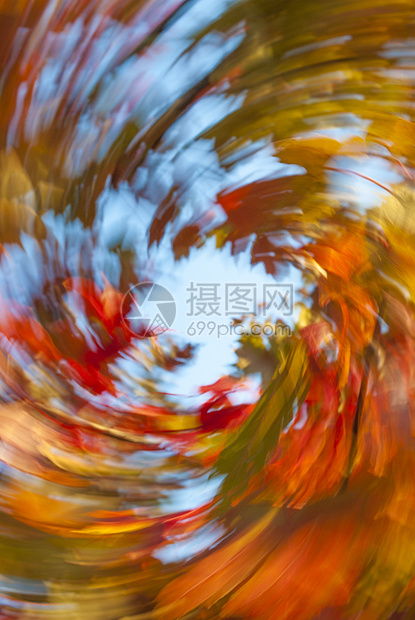 秋风树叶涡流旋转图片