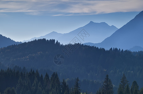 黄昏中的山丘旅行山脉高山蓝色远足风景针叶农村荒野天空图片