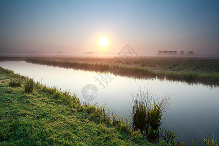 荷兰农田的河上日出图片