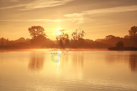 沉雾在湖面上日出风景橙子太阳薄雾鸭子日落天空反射农村阳光图片