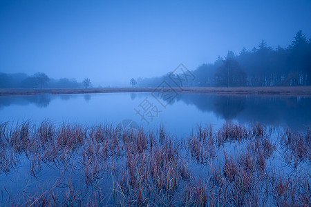 雾色黄昏中的野湖图片