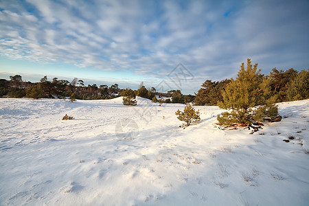 雪山和草地上的蓝色天空图片