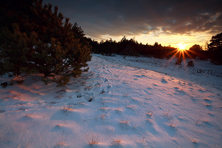 日落时在雪山上晒太阳图片