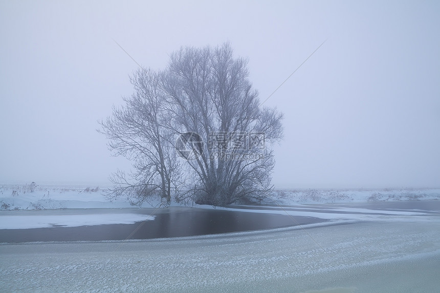 以寒雾中冰冻的湖木盟誓图片