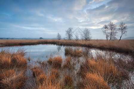 沼泽上漫云的早晨图片