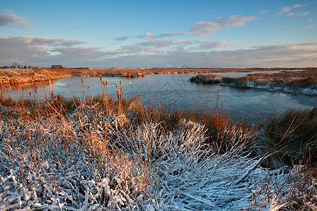 冬季沼泽的晨光图片