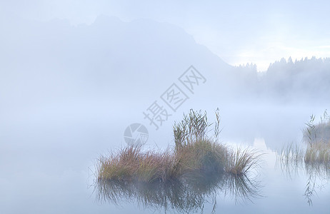 高山湖巴姆西的浓雾图片