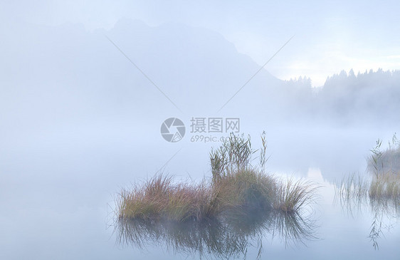 高山湖巴姆西的浓雾图片