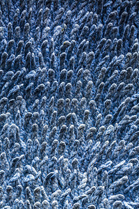 蓝色地毯 背景纹理的特写家庭宏观小地毯织物风格墙纸地面棉布纤维装饰图片