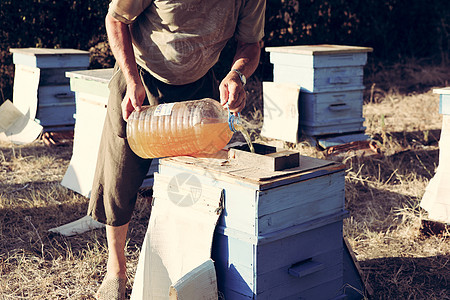 保管人食物荒野昆虫表扬花粉细胞梳理树木宏观养蜂人图片