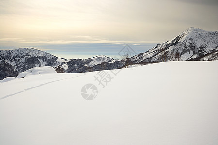 阿尔卑山云视图背光风景天空冰川季节全景粉雪自由冒险图片