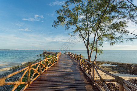 印度洋的木林码头海景木头小路场景甲板海洋图片