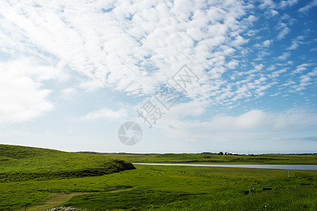 美丽的冰岛 美好的夏季天气草原旅游国家花朵农村村庄土地全景草地池塘图片