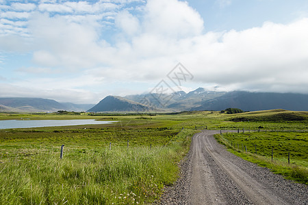 美丽的冰岛 美好的夏季天气岩石花朵草原场地旅游晴天天空草地农村太阳图片