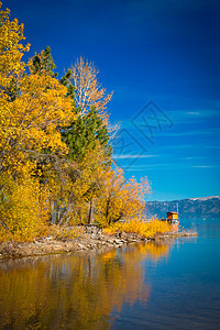 湖边的树木阳光目的地旅游摄影场景季节黄色风景反射图片