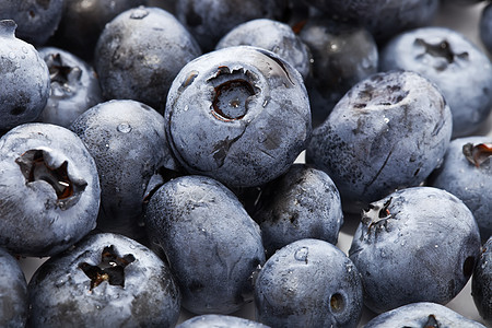 蓝莓浆果蓝色食物营养水果甜点饮食宏观团体覆盆子图片